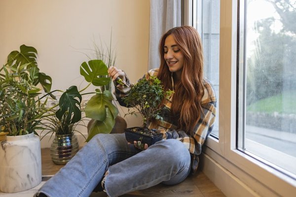 Comment intégrer l'art du bonsaï dans votre routine de relaxation quotidienne ?